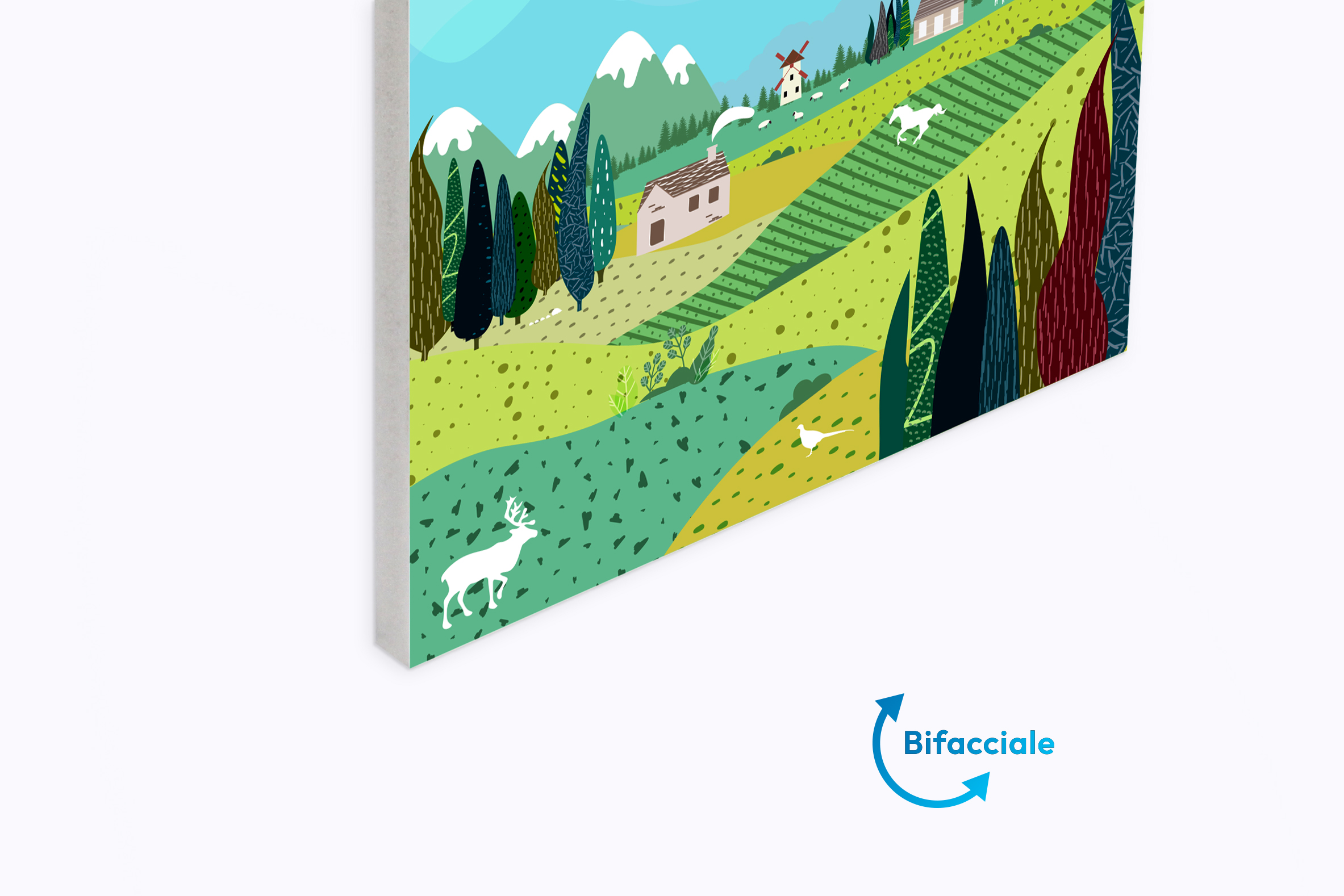 Forex da 5 mm bifacciale - immagine 2